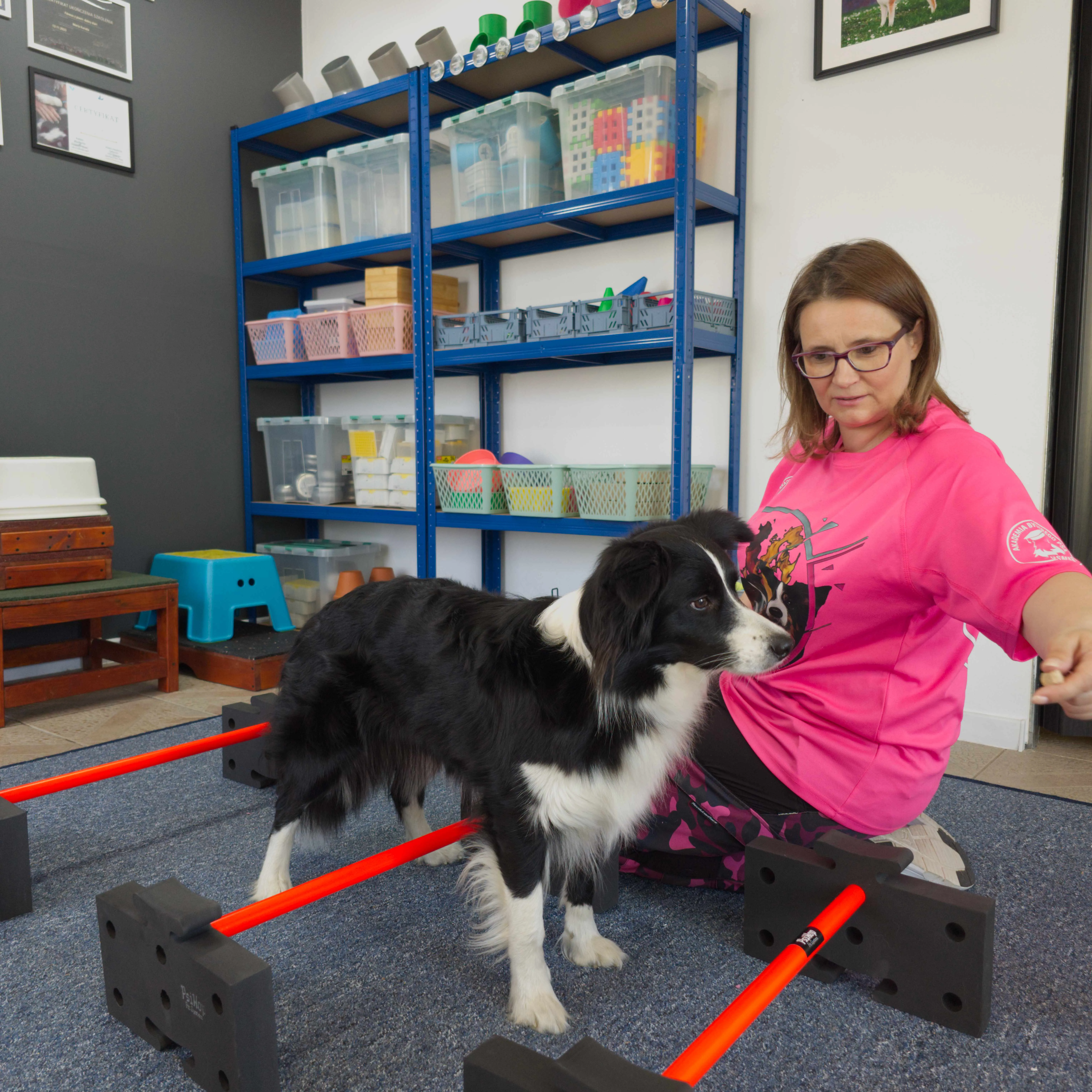 Pies ćwiczący dogfitness